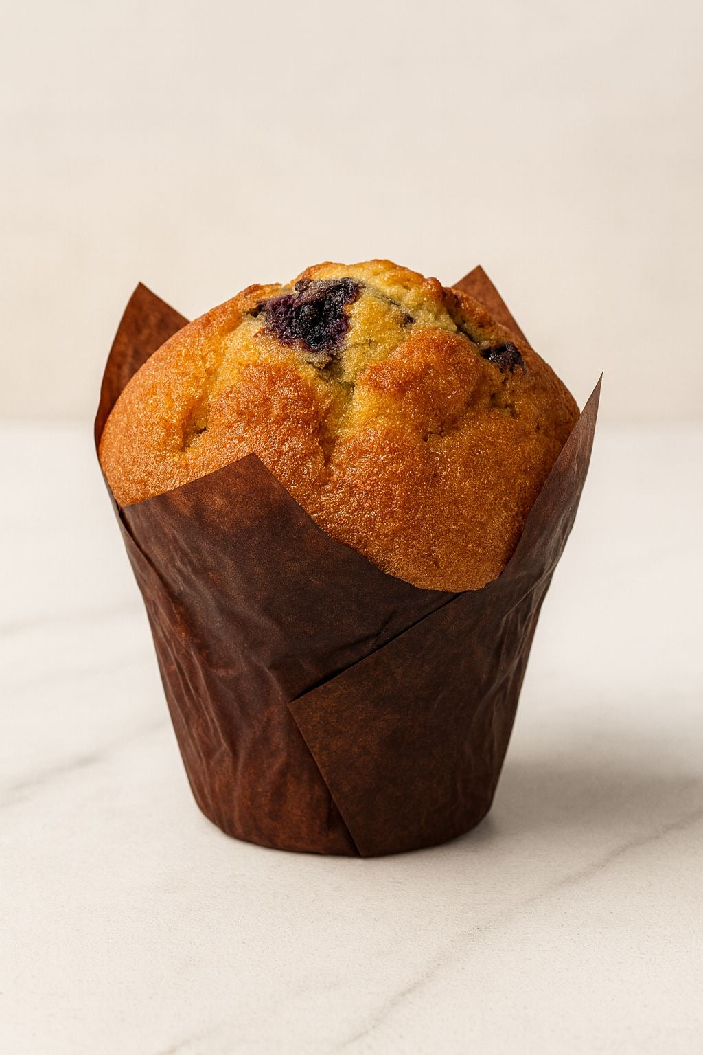 Caja de Muffins de Arándano